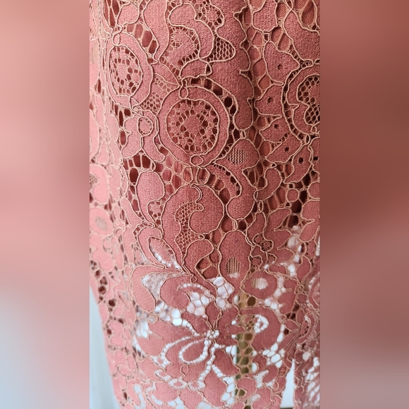 NWT Dynamite Lace Pencil Skirt - Picture 5 of 6